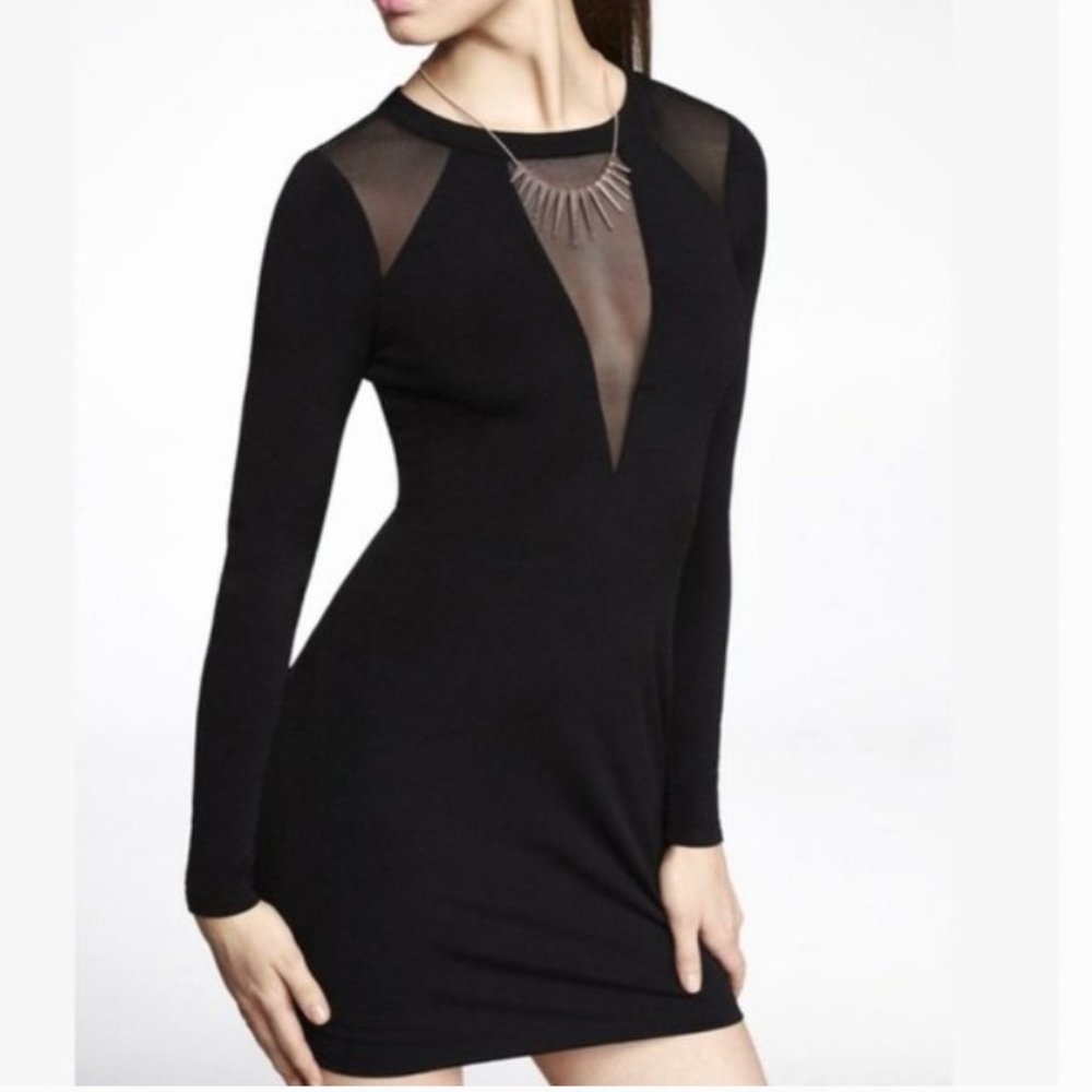 Express Deep V- Mesh Long Sleeve Dress